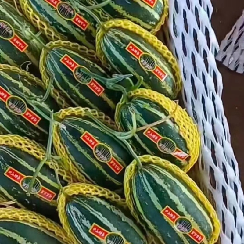精品甜瓜大量有货产地直销一手货源