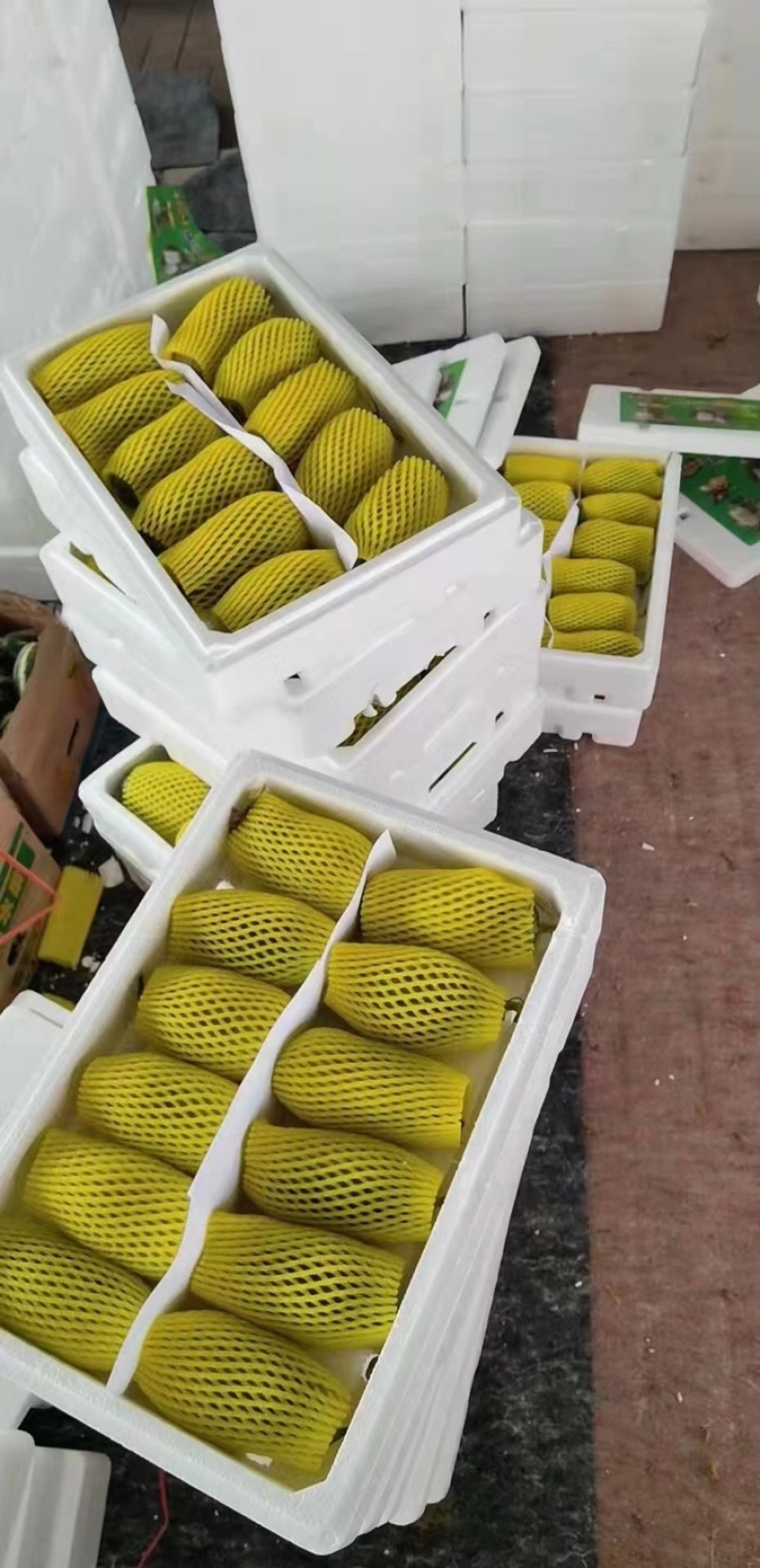 精品甜瓜大量有货产地直销一手货源