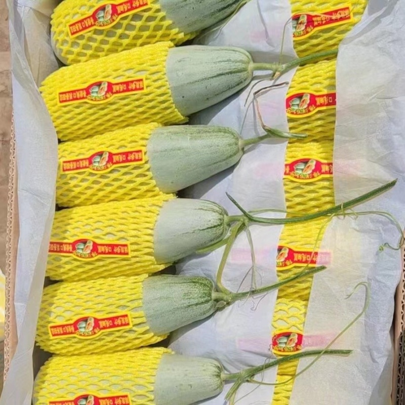 精品甜瓜大量有货产地直销一手货源