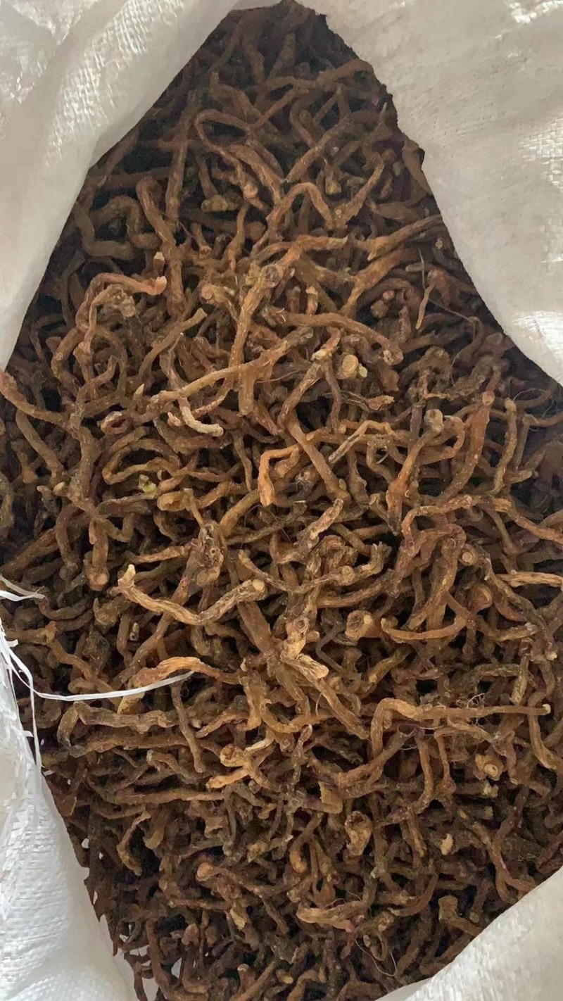 东北熟晒玉竹，2吨货，主供药厂