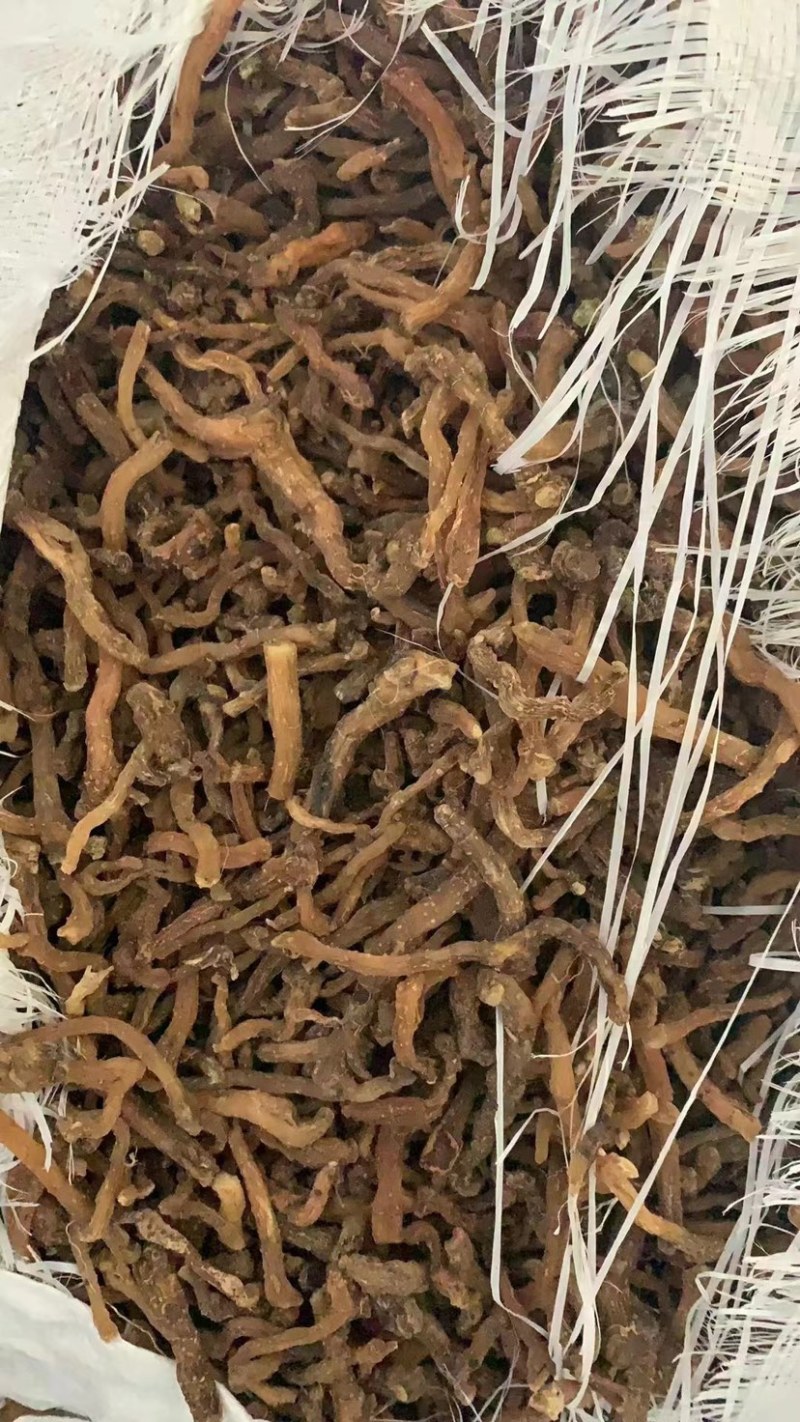 东北熟晒玉竹，2吨货，主供药厂