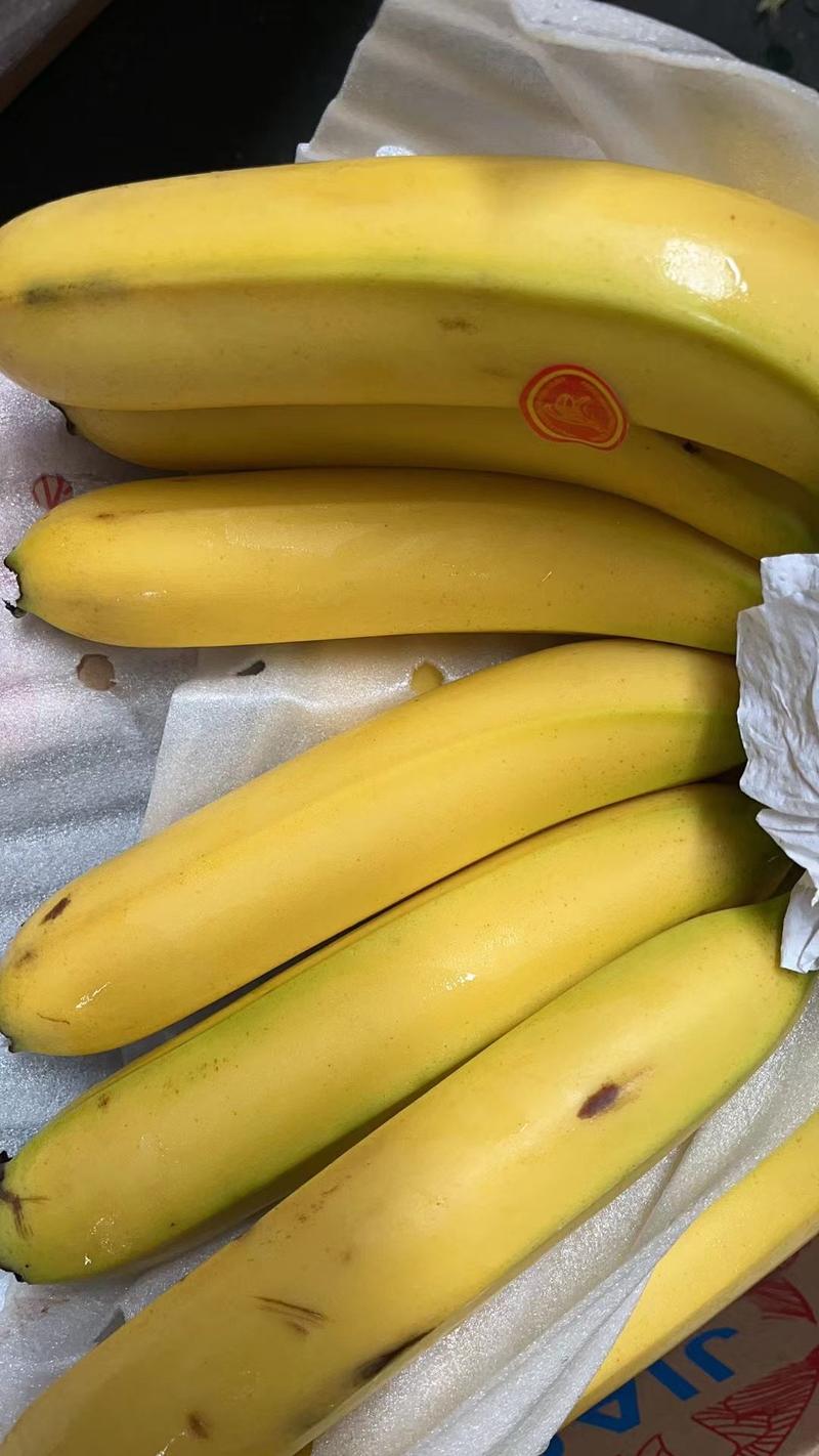 【特价】精品香蕉，二黄蕉大量现货，一级二黄蕉，无黑心硬心