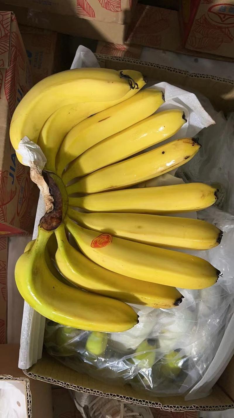 【特价】精品香蕉，二黄蕉大量现货，一级二黄蕉，无黑心硬心