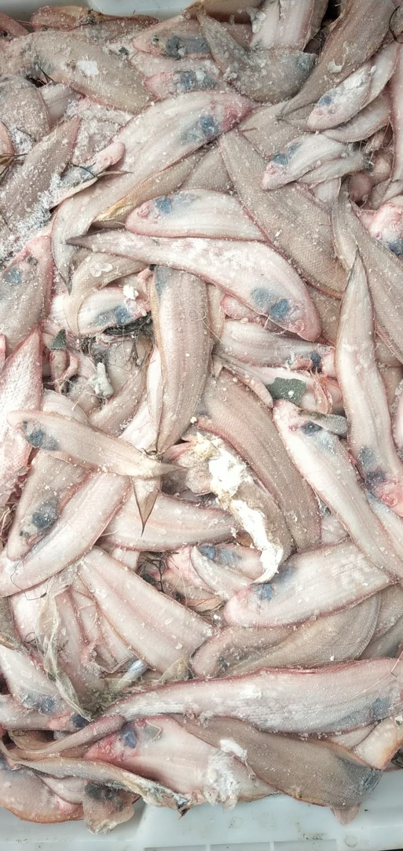 一个季节一个价格，需要量大的联系，