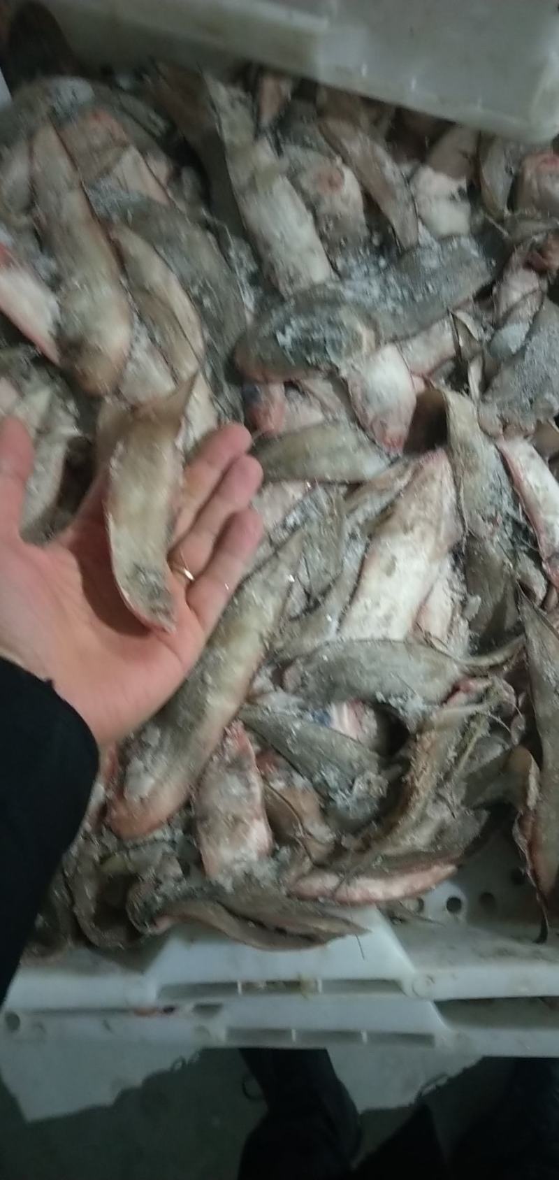 一个季节一个价格，需要量大的联系，