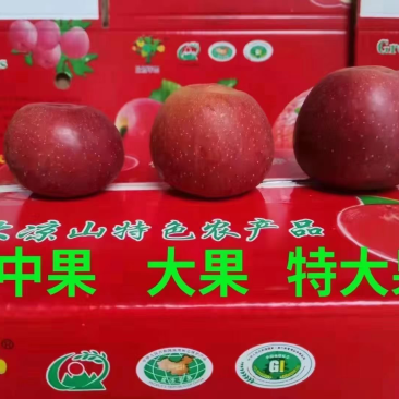 大凉山高原红将军苹果