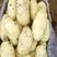 荷兰十五黄皮黄心土豆.产地直发，货源充足支持全国发货