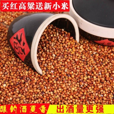 现货供应东红高粱带皮高粱未脱皮酿酒酿醋原料高粱批发袋装