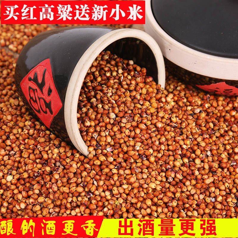现货供应东红高粱带皮高粱未脱皮酿酒酿醋原料高粱批发袋装
