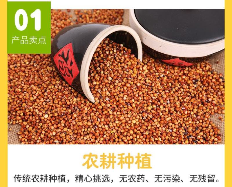 现货供应东红高粱带皮高粱未脱皮酿酒酿醋原料高粱批发袋装