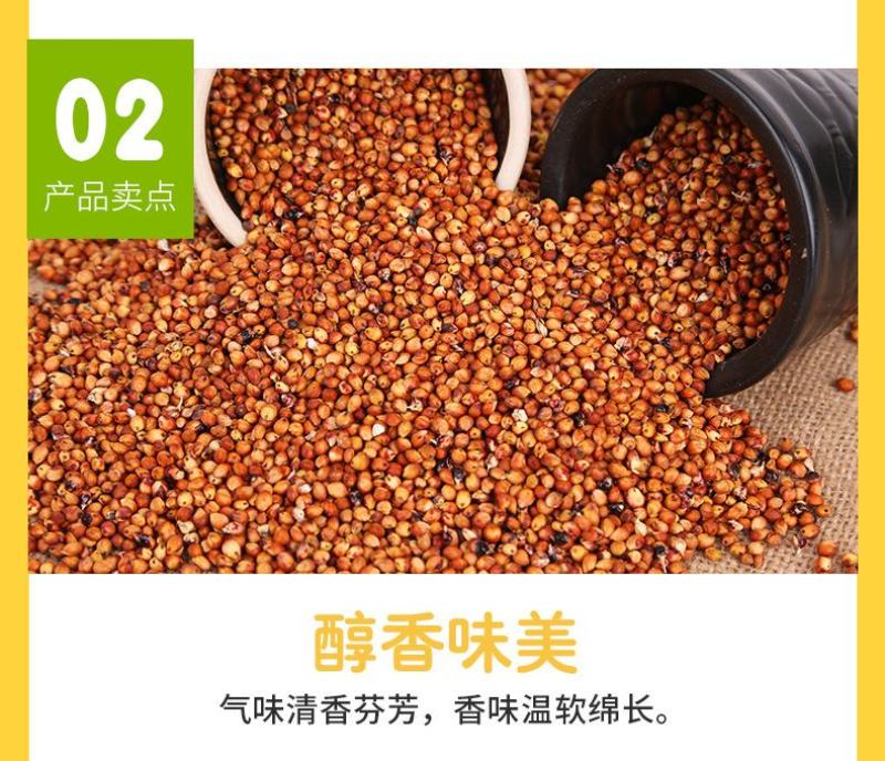 现货供应东红高粱带皮高粱未脱皮酿酒酿醋原料高粱批发袋装