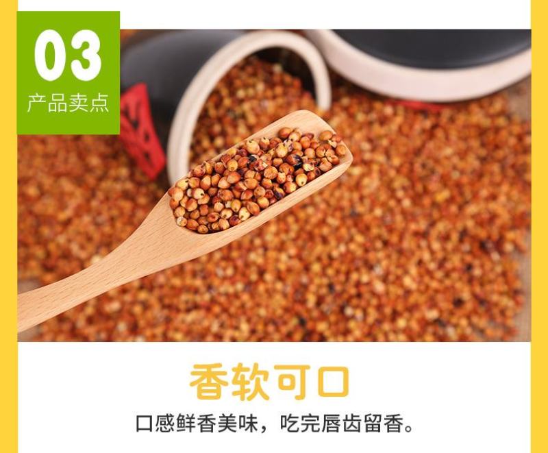 现货供应东红高粱带皮高粱未脱皮酿酒酿醋原料高粱批发袋装