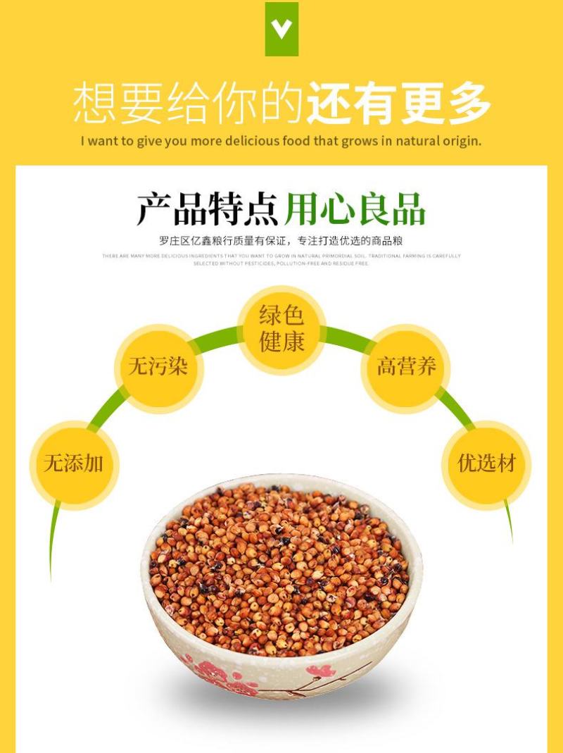 现货供应东红高粱带皮高粱未脱皮酿酒酿醋原料高粱批发袋装