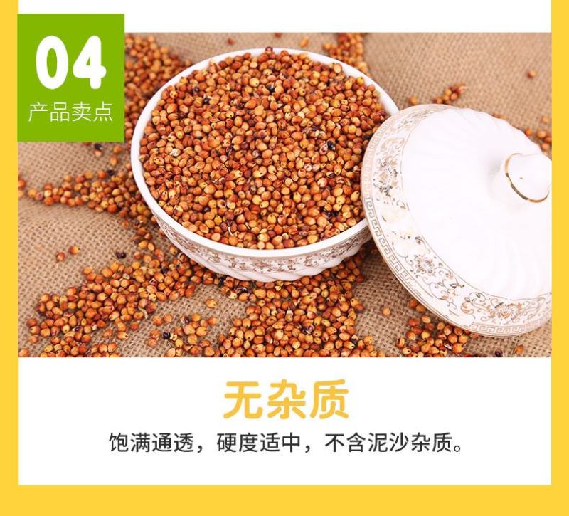 现货供应东红高粱带皮高粱未脱皮酿酒酿醋原料高粱批发袋装