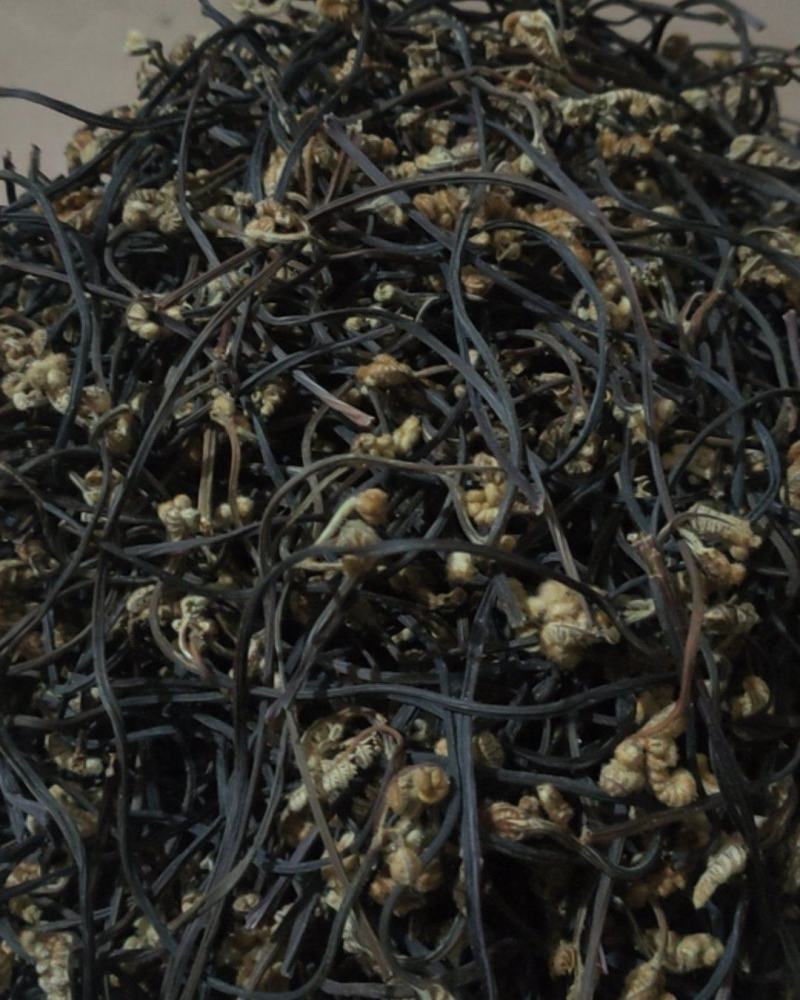 我现有干蕨菜一吨需要卖，有哪位老板要的电话连续15987