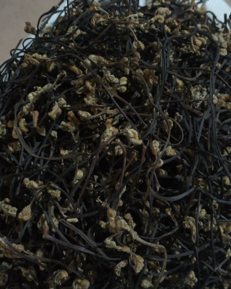 我现有干蕨菜一吨需要卖，有哪位老板要的电话连续15987