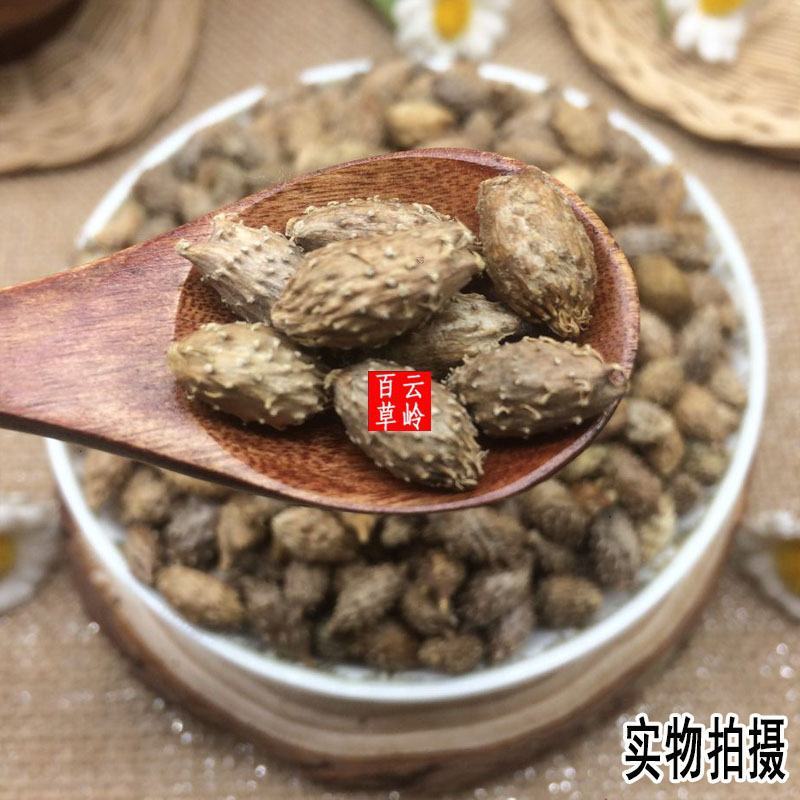云南野生中药材苍耳子成熟苍耳子牛虱子苍耳苍子