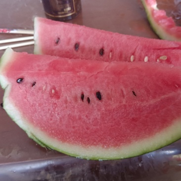 狼山沙窝西瓜大量上市