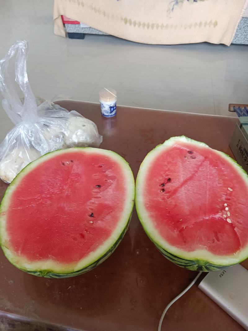 狼山沙窝西瓜大量上市