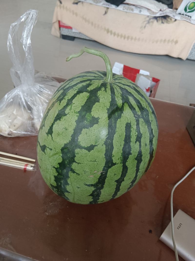 狼山沙窝西瓜大量上市