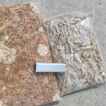 河虾饲料量不多