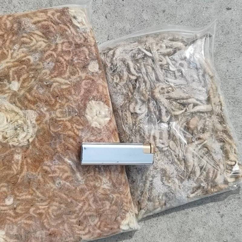 河虾饲料量不多