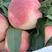 新鲜桃子，有突围，蟠桃等各种季节性鲜桃