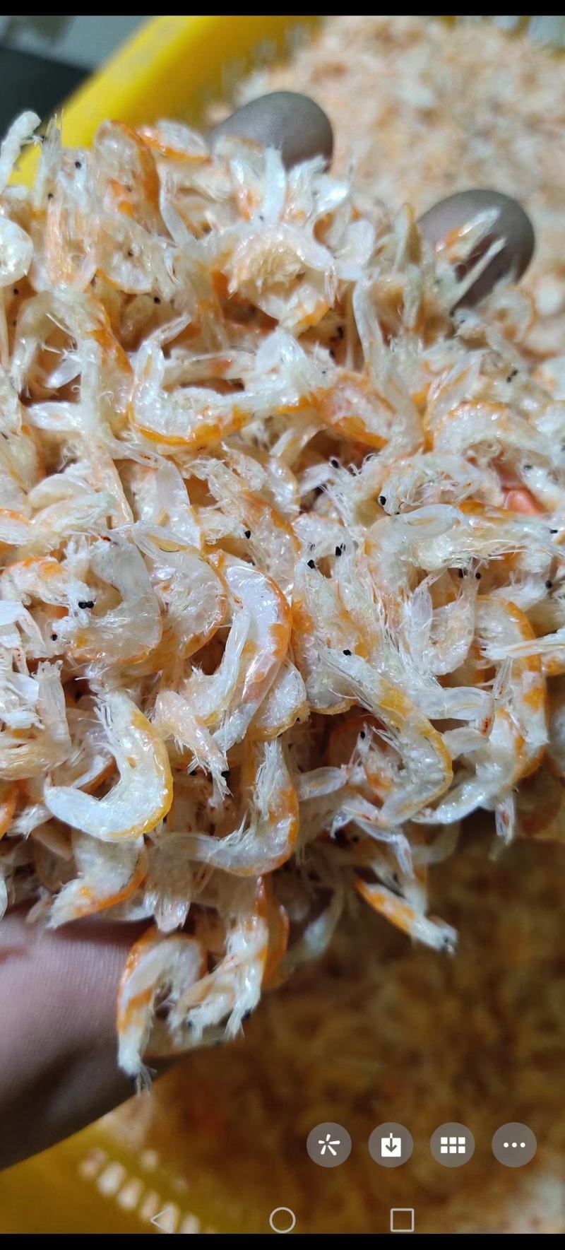 虾膏带籽虾皮籽虾子籽虾皮