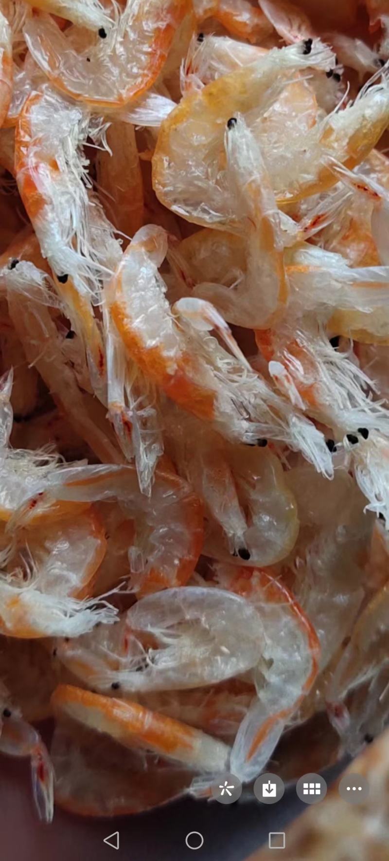 虾膏带籽虾皮籽虾子籽虾皮