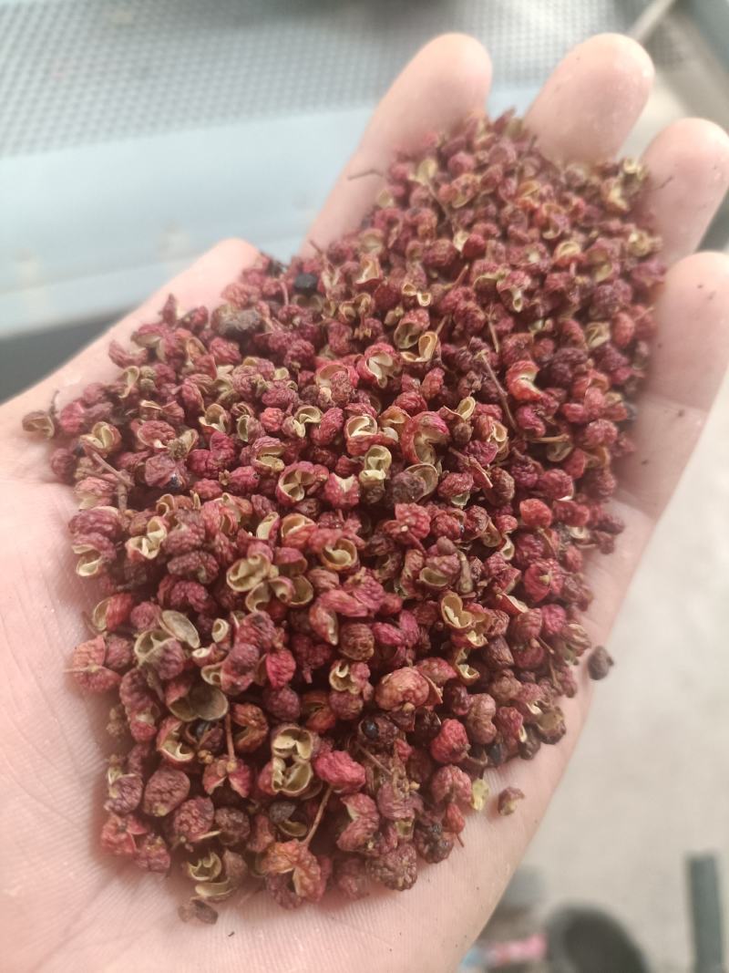 【有好货】陕西大红袍花椒，颗粒净货，色选。