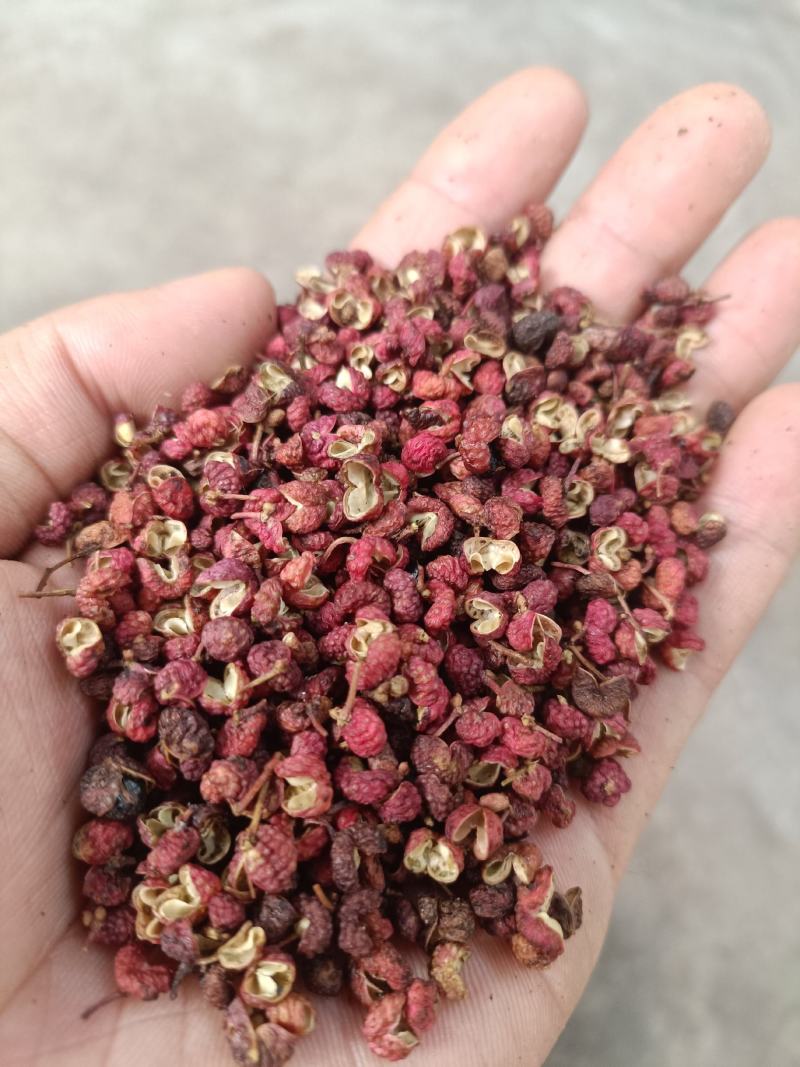 【有好货】陕西大红袍花椒，颗粒净货，色选。