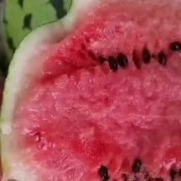 西瓜