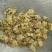 菊花河北菊花白菊花鲁舜泽中药材商行今年新货