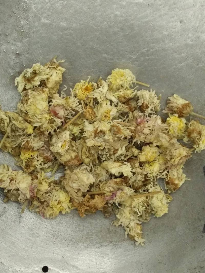 菊花河北菊花白菊花鲁舜泽中药材商行今年新货