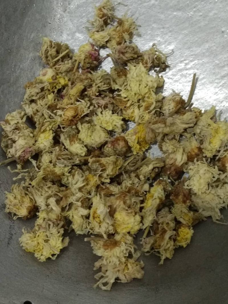 菊花河北菊花白菊花鲁舜泽中药材商行今年新货