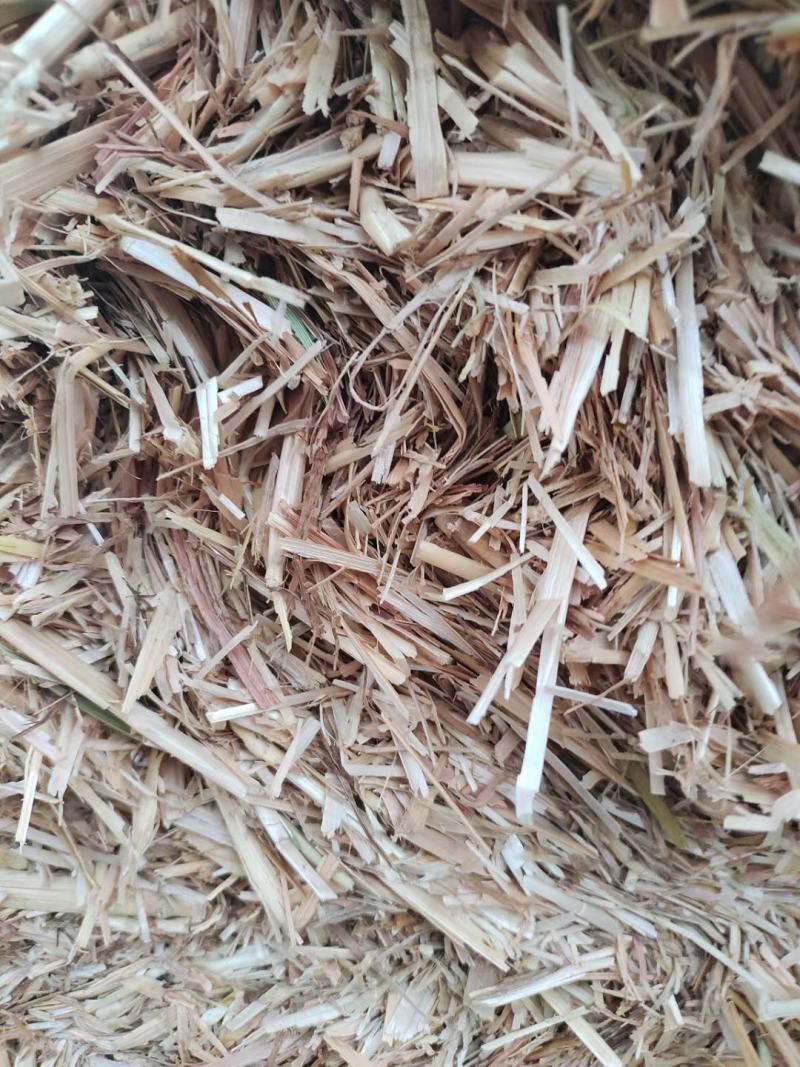 正阳县丰源草业，主营花生秧牛羊草料，花生秧，小麦秸秆，