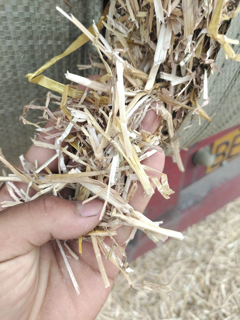 正阳县丰源草业，主营花生秧牛羊草料，花生秧，小麦秸秆，