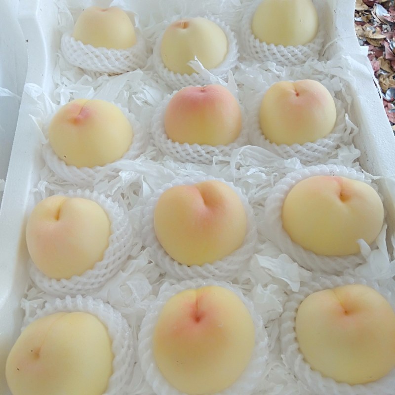 水蜜桃
