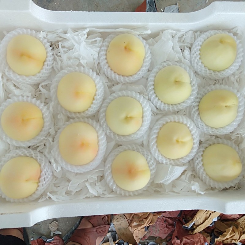 水蜜桃