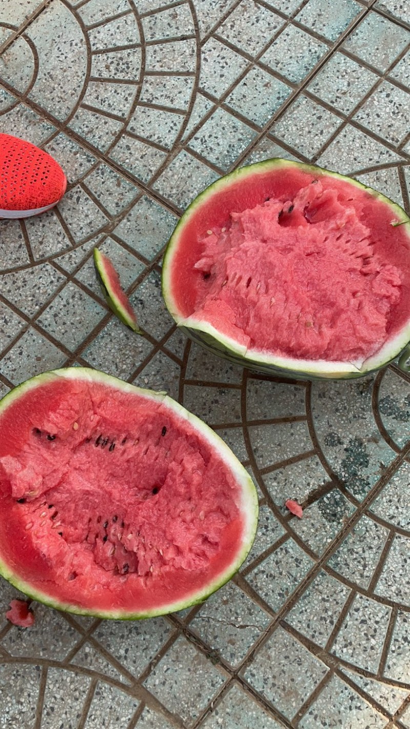 大棚甜王
