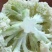 精品松花大量有货，欢迎老板联系