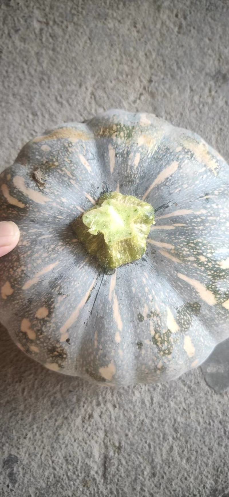 盘龙204大量有货，需要的朋友可以联系我。