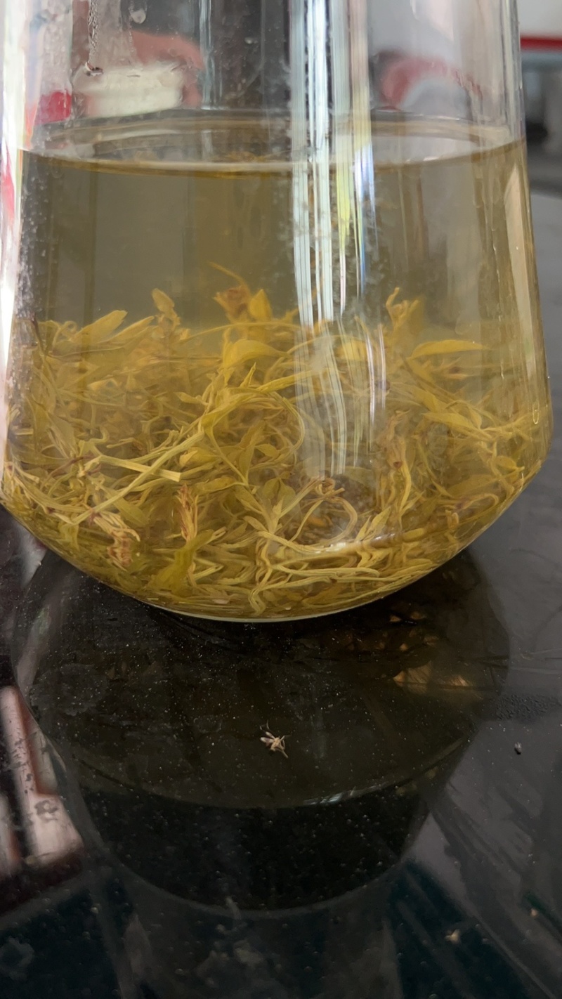莓茶