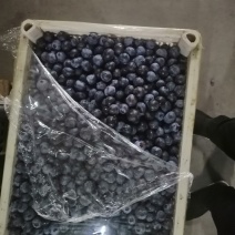 蓝莓