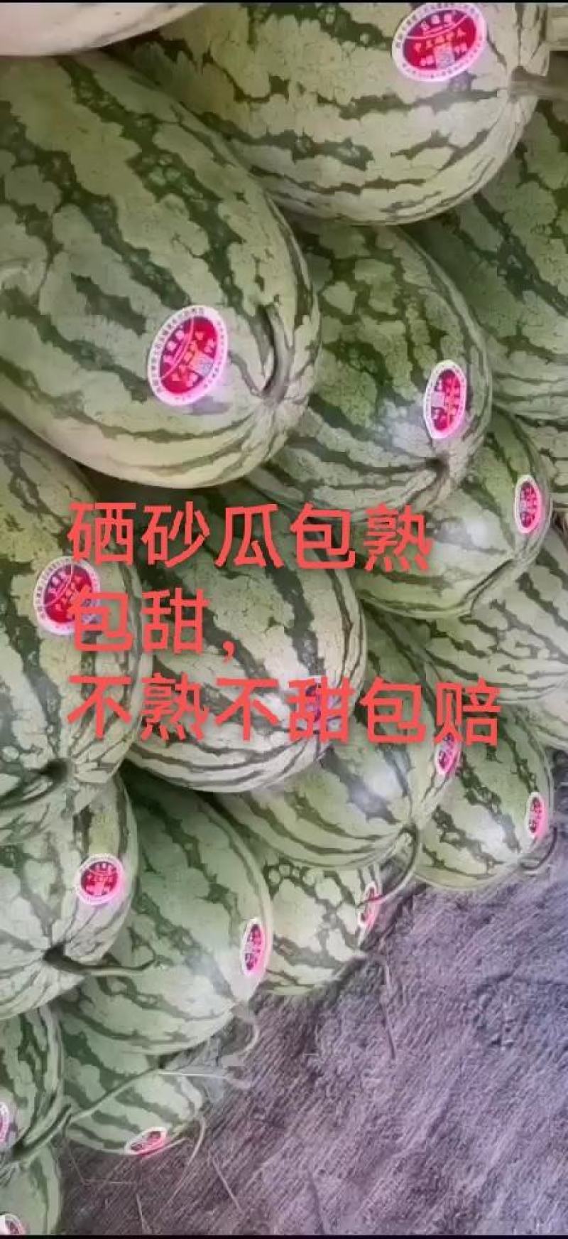 硒砂瓜，大量接单，质量三包，诚信经营，大量供应