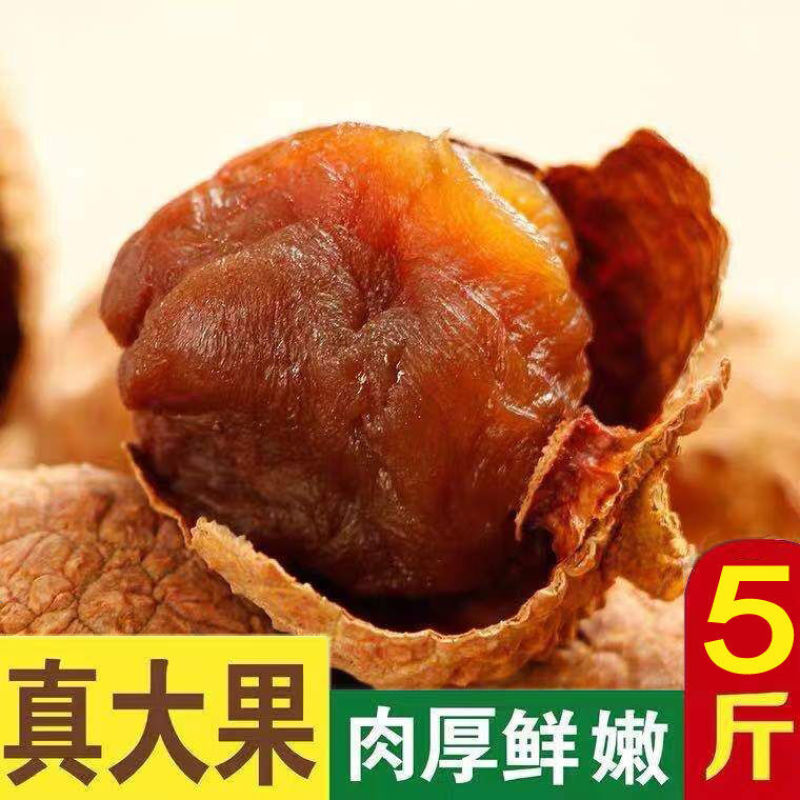 福建10A桂味大荔枝干5斤莆田新货核小肉厚农家荔枝干