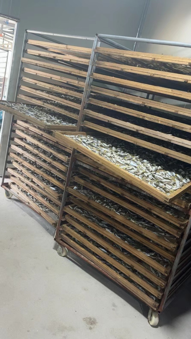 自产自销，本港黄尾小巴浪鱼，即食淡干，价格优惠