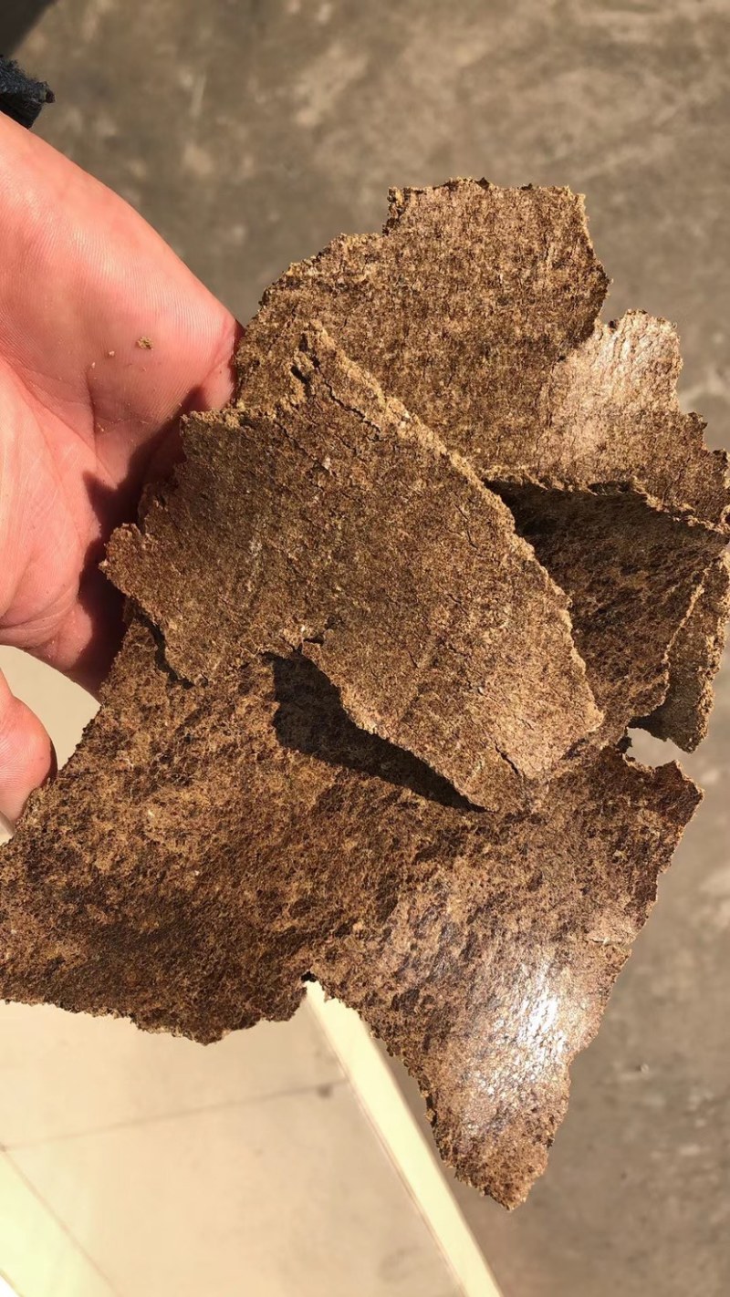 厂家直发胡麻饼菜籽饼欢迎到厂考察参观