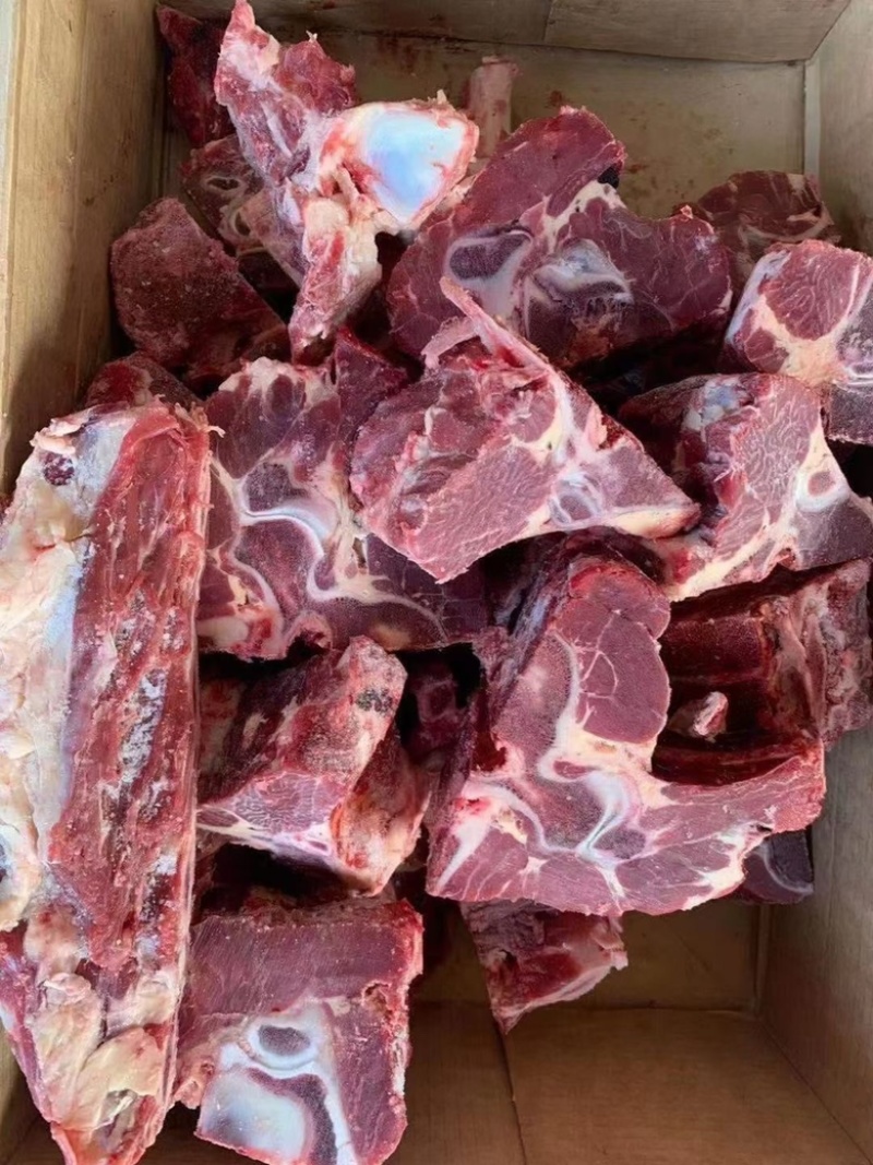 今日热推‘’满肉牛背骨
