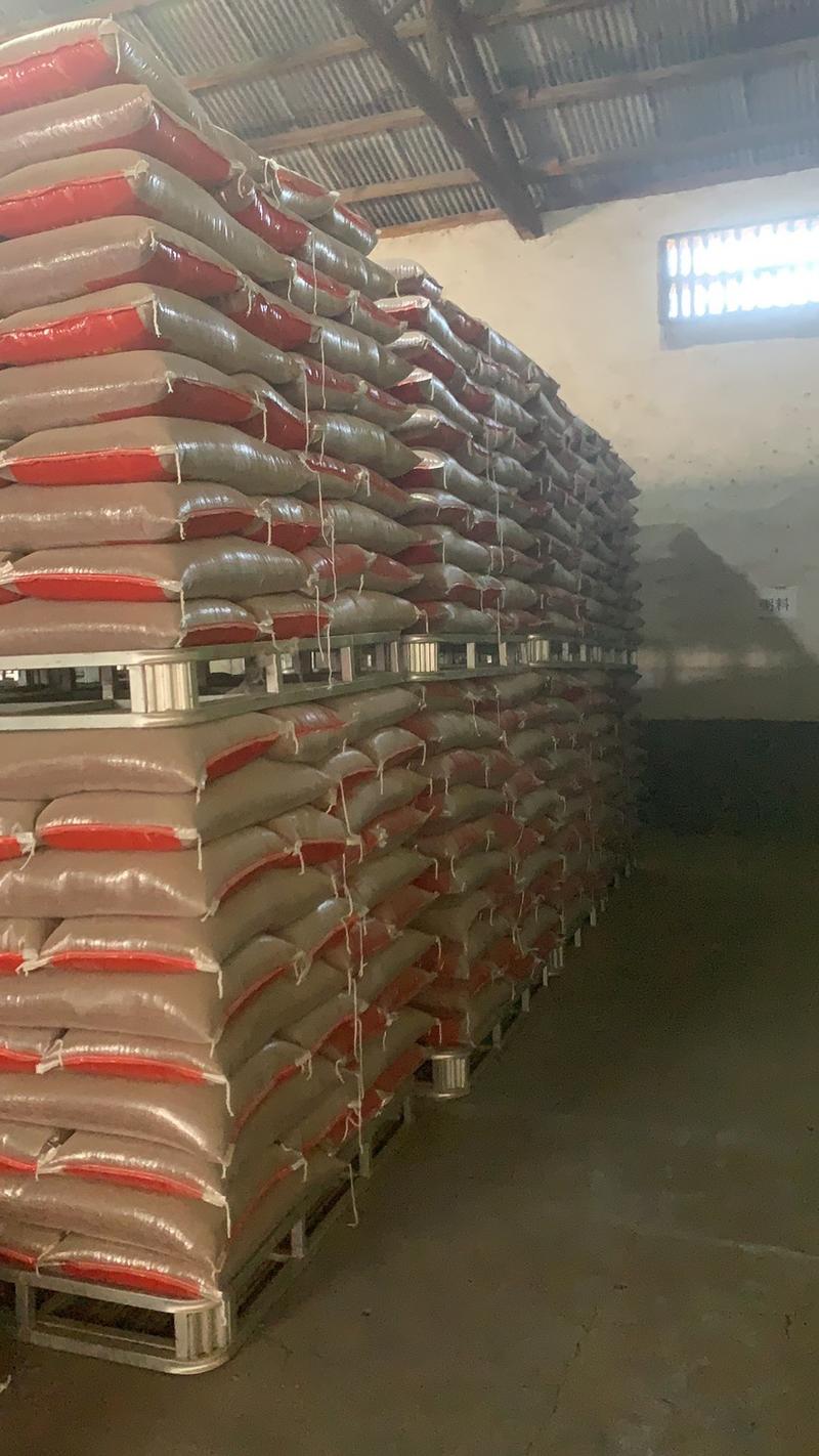 红米长粒红米糙米长红米红大米新米胚芽米八宝粥米厂家直发